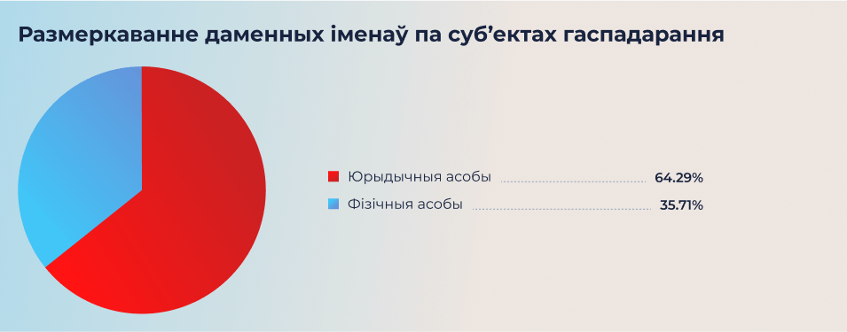 Размеркаванне даменных імёнаў